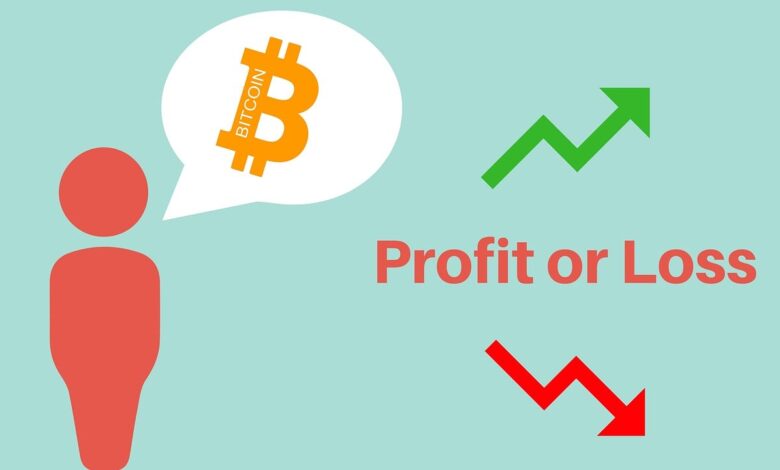 bitcoin, profit, loss