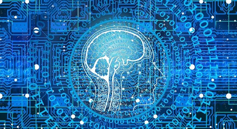 artificial intelligence, network, programming, web, brain, computer science, technology, printed circuit board, information, data, data exchange, digital, communication, artificial intelligence, artificial intelligence, artificial intelligence, artificial intelligence, brain, brain, technology, technology, technology, technology, technology, data, digital, digital