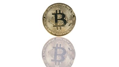 bitcoin, cryptocurrency, crypto, money, digital currency, blockchain, finance, stock market, stock exchange, isolated, bitcoin, crypto, crypto, stock market, stock market, stock market, stock market, stock market