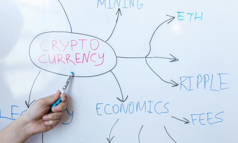 Hand writing cryptocurrency concepts on whiteboard in business meeting.