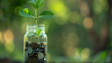 seedling, investment, coins, jar, glass, currency, invest smart, money, finance, profit, wealth, financial, savings, benefit, value, deposit, nature, green background, decision, bokeh