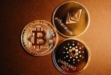 a group of gold coins