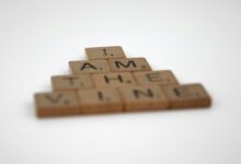 brown and white lego blocks