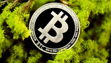 a bit coin hanging from a tree branch