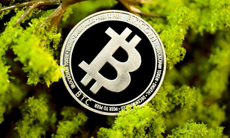 a bit coin hanging from a tree branch